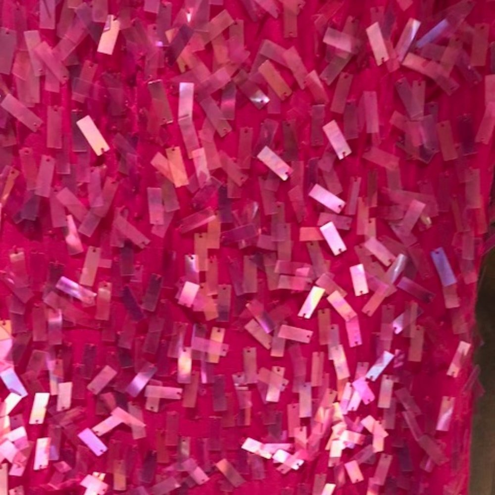 BCBG MaxAzria Dress - Picture 5 of 5